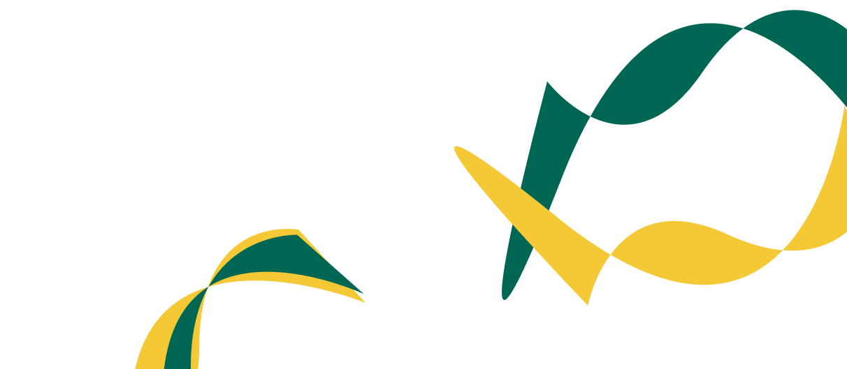 Expert Solutions for Corporate  Financial Success. - 28圈体育APPxingbaotian